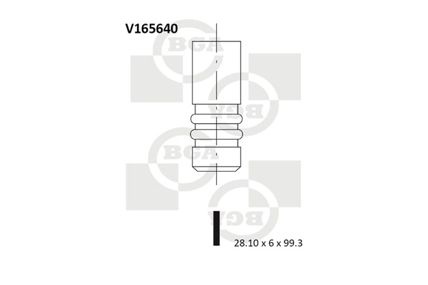 Intake Valve