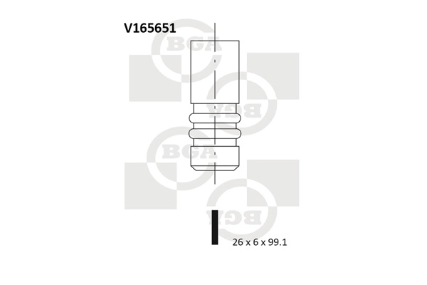 Exhaust Valve