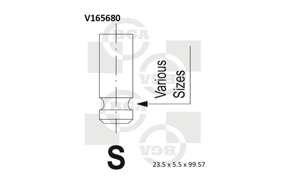 Intake Valve