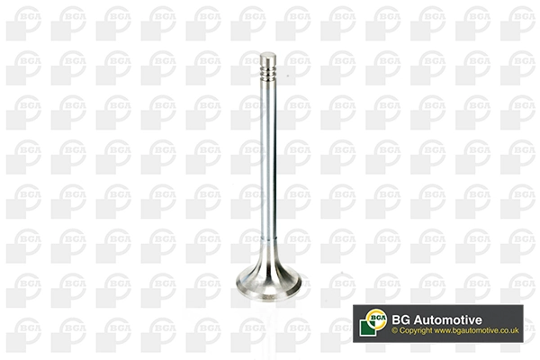 Exhaust Valve