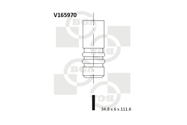 Intake Valve