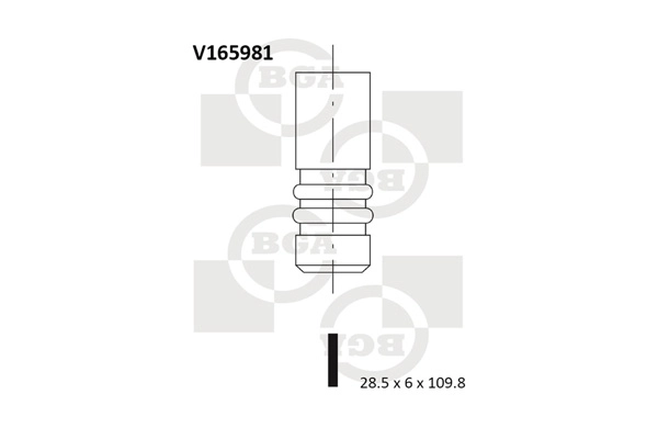 Exhaust Valve