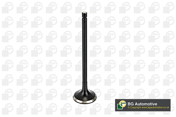 Exhaust Valve