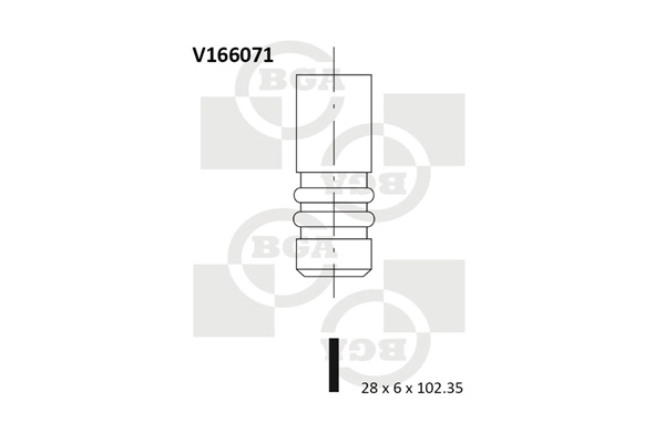 Exhaust Valve