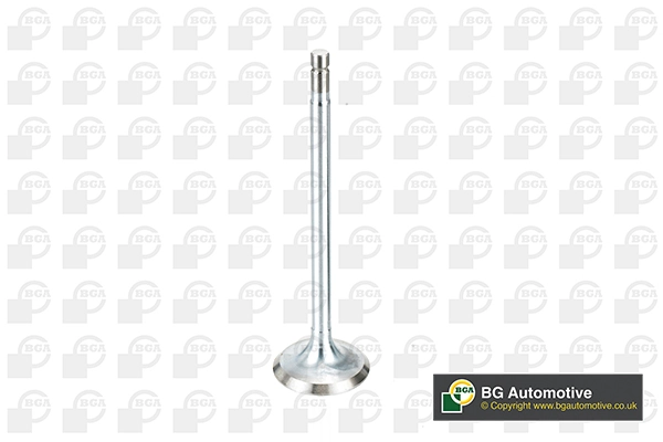Exhaust Valve