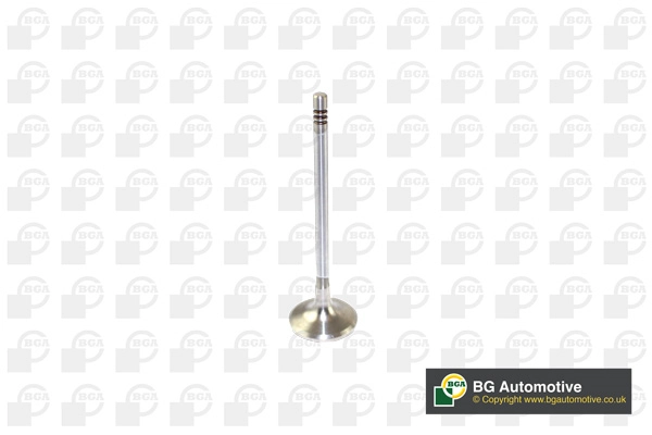 Intake Valve