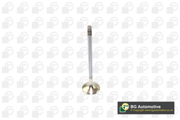 Exhaust Valve