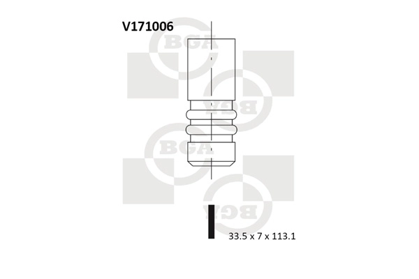 Intake Valve