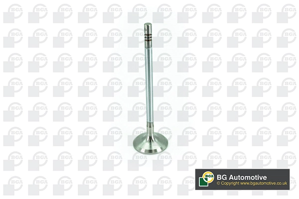 Intake Valve