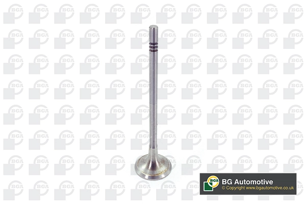 Exhaust Valve