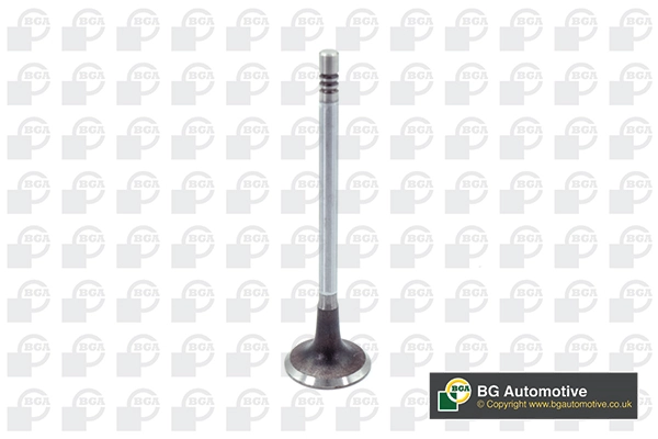 Intake Valve