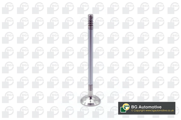 Exhaust Valve