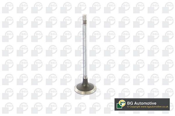 Intake Valve