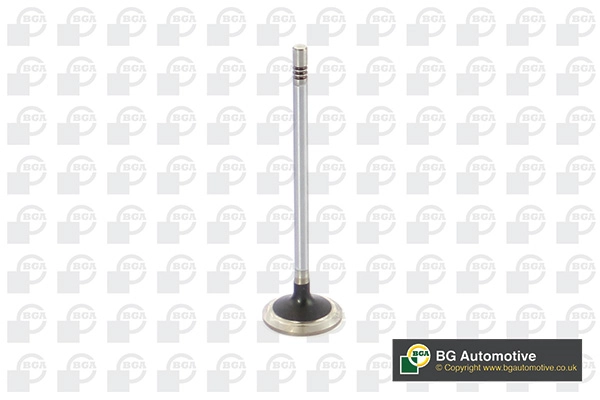 Exhaust Valve