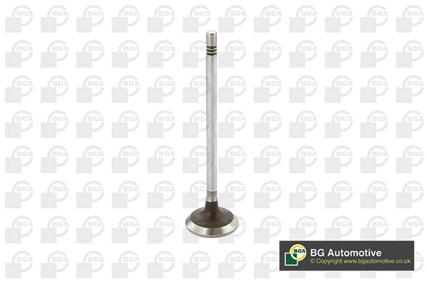 Intake Valve