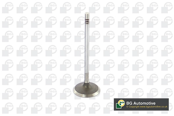 Intake Valve