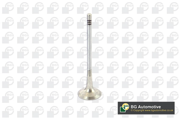 Exhaust Valve