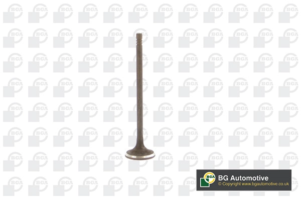 Exhaust Valve