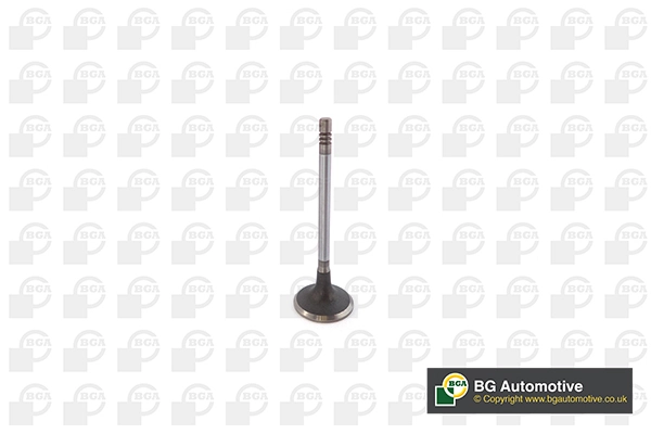Intake Valve
