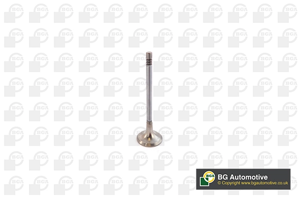 Exhaust Valve