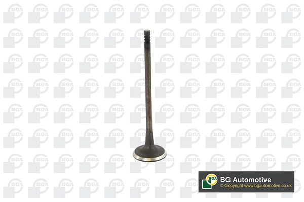 Intake Valve
