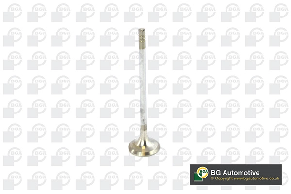Exhaust Valve
