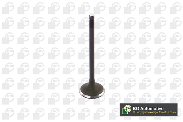 Intake Valve