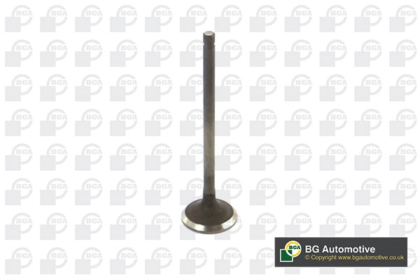 Exhaust Valve