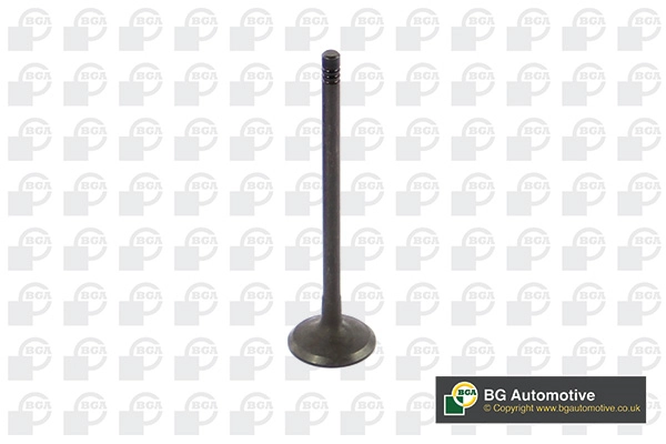 Intake Valve