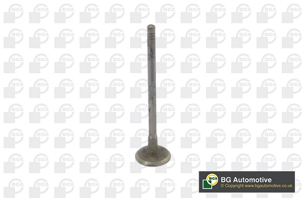 Exhaust Valve