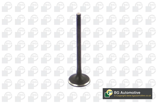 Intake Valve