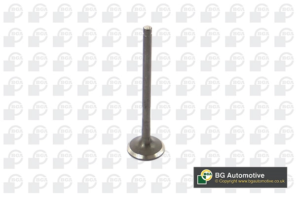 Exhaust Valve
