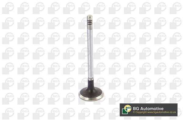 Intake Valve