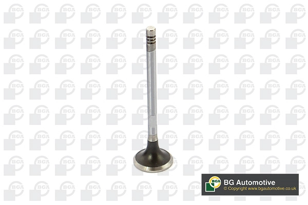 Exhaust Valve