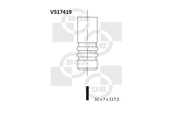 Intake Valve