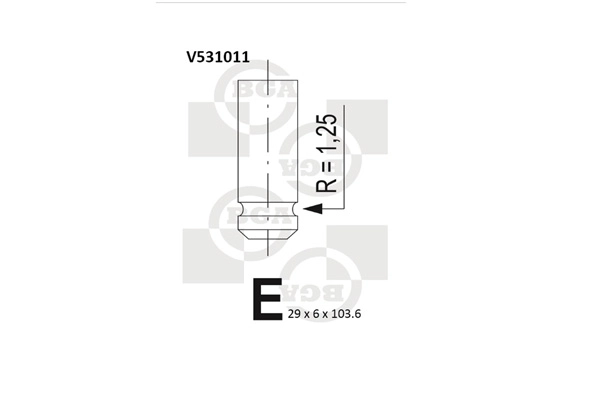 Exhaust Valve