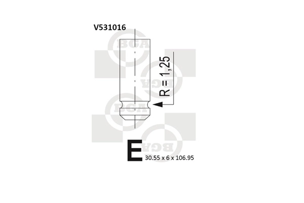 Exhaust Valve