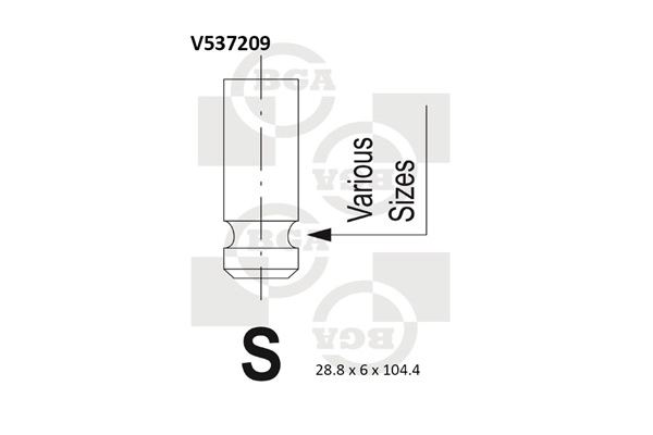 Intake Valve