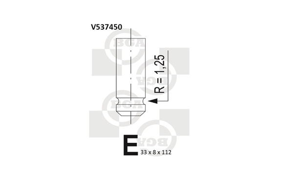 Exhaust Valve