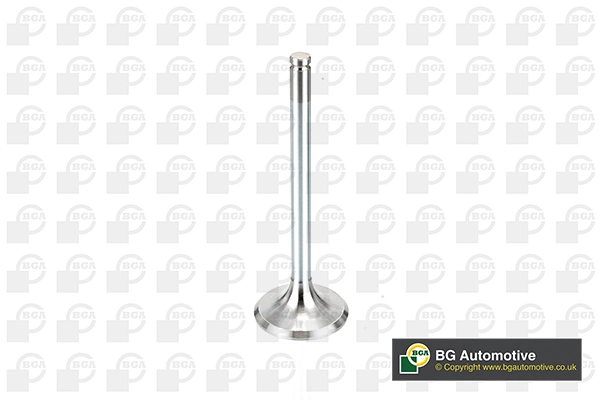 Intake Valve
