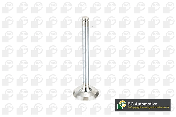 Exhaust Valve