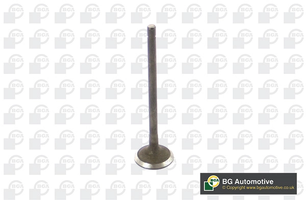 Exhaust Valve