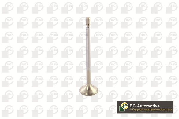 Exhaust Valve