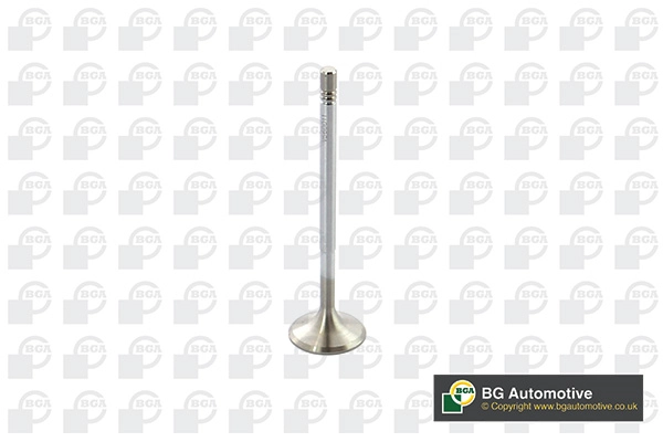 Intake Valve