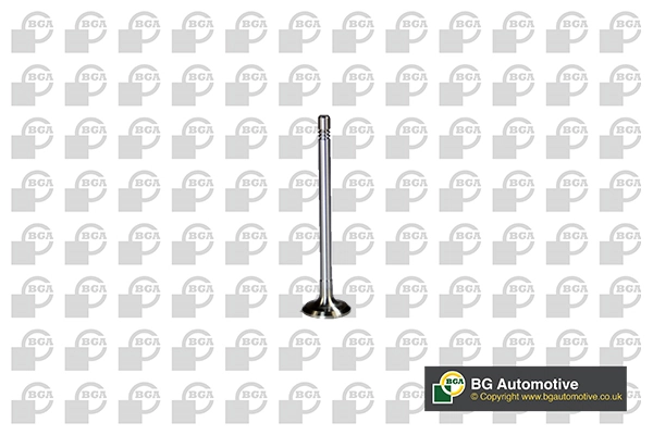 Exhaust Valve