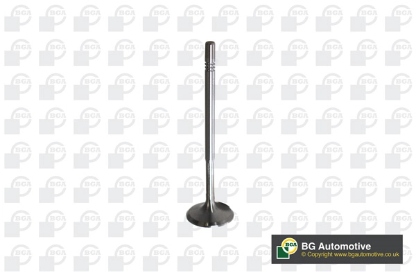 Intake Valve