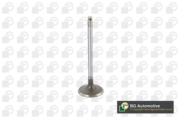 Intake Valve
