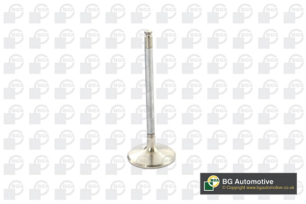 Exhaust Valve