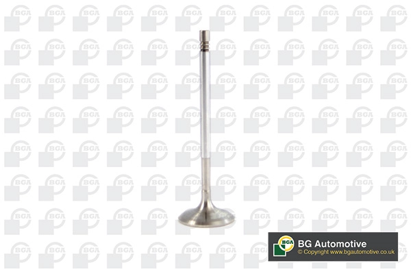 Intake Valve