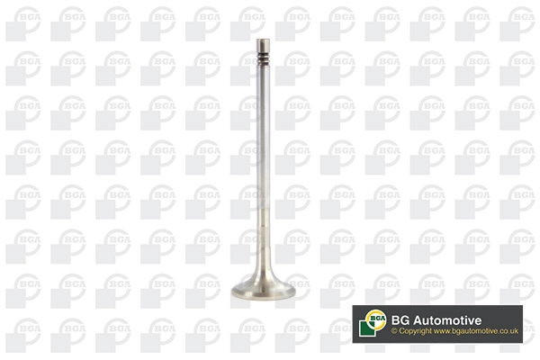 Exhaust Valve